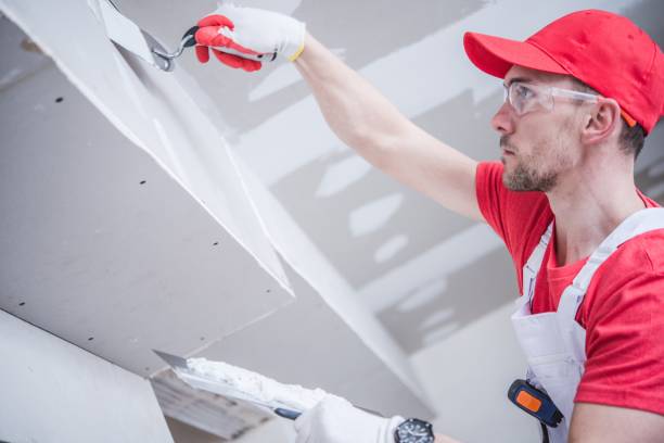 Best Drywall Sanding and Smoothing  in Albion, NY